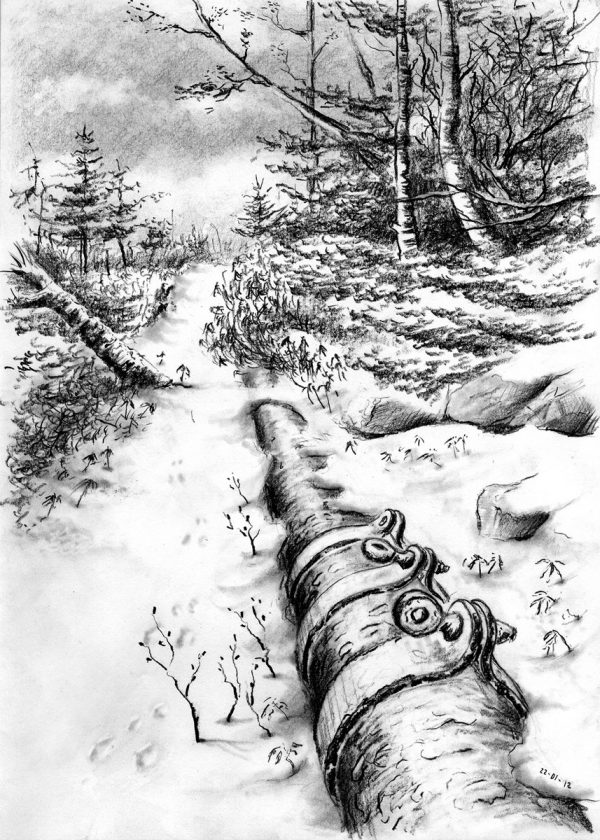 Patrick Dérible, Chemin des conduites, hiver, crayon graphite (© P. Dérible)