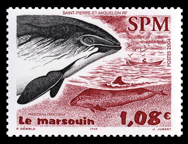 Saint-Pierre et Miquelon : Le marsouin, 2004 (dessin de Patrick Dérible, gravure de Jacques Jubert, impression taille-douce) (© Saint-Pierre et Miquelon La Poste / P. Dérible / J. Jubert)