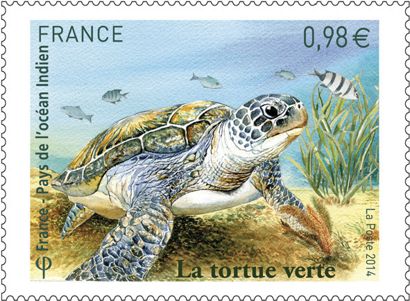 France. Tortue verte, maquette, aquarelle, 2014 (dessin de Claude Perchat (© La Poste / C. Perchat)