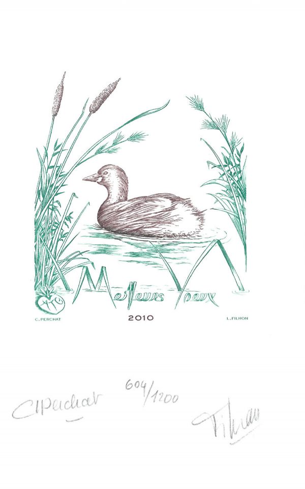 Canard, vœux 2010, gravure n° 10 - 2009 (dessin : Perchat Claude et gravure : Filhon Line)