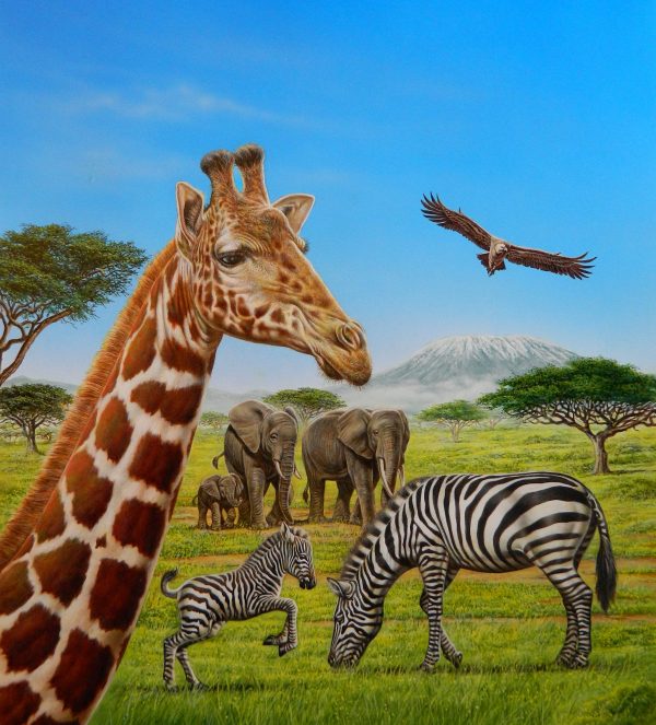 Bernard Alunni-Marie-Christine Lemayeur, illustration pour le livre jeunesse « Les animaux de la savane », éditions Fleurus enfants, acrylique, 2014 (© Alunni-Lemayeur)