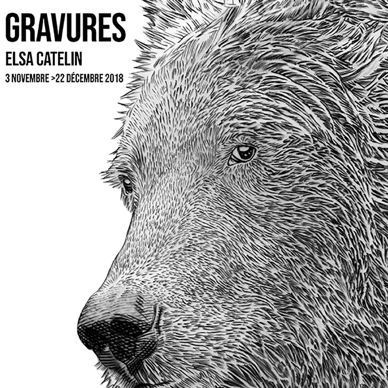 Elsa Catelin expose ses gravures à Honfleur