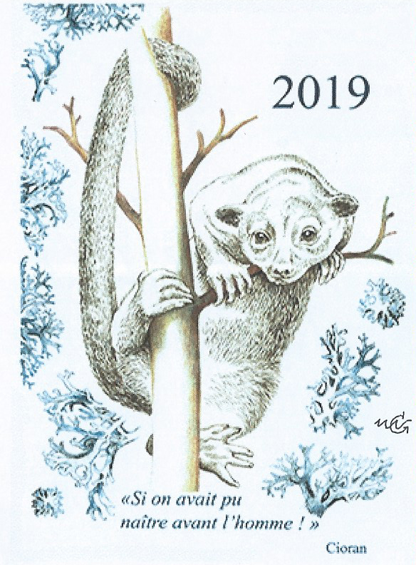 Carte de vœux 2019 de Marie-Noëlle Goffin (© MN.Goffin)