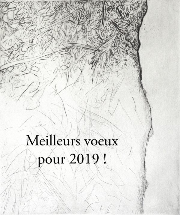 Carte de vœux 2019 d'Eve Luquet (© E. Luquet)