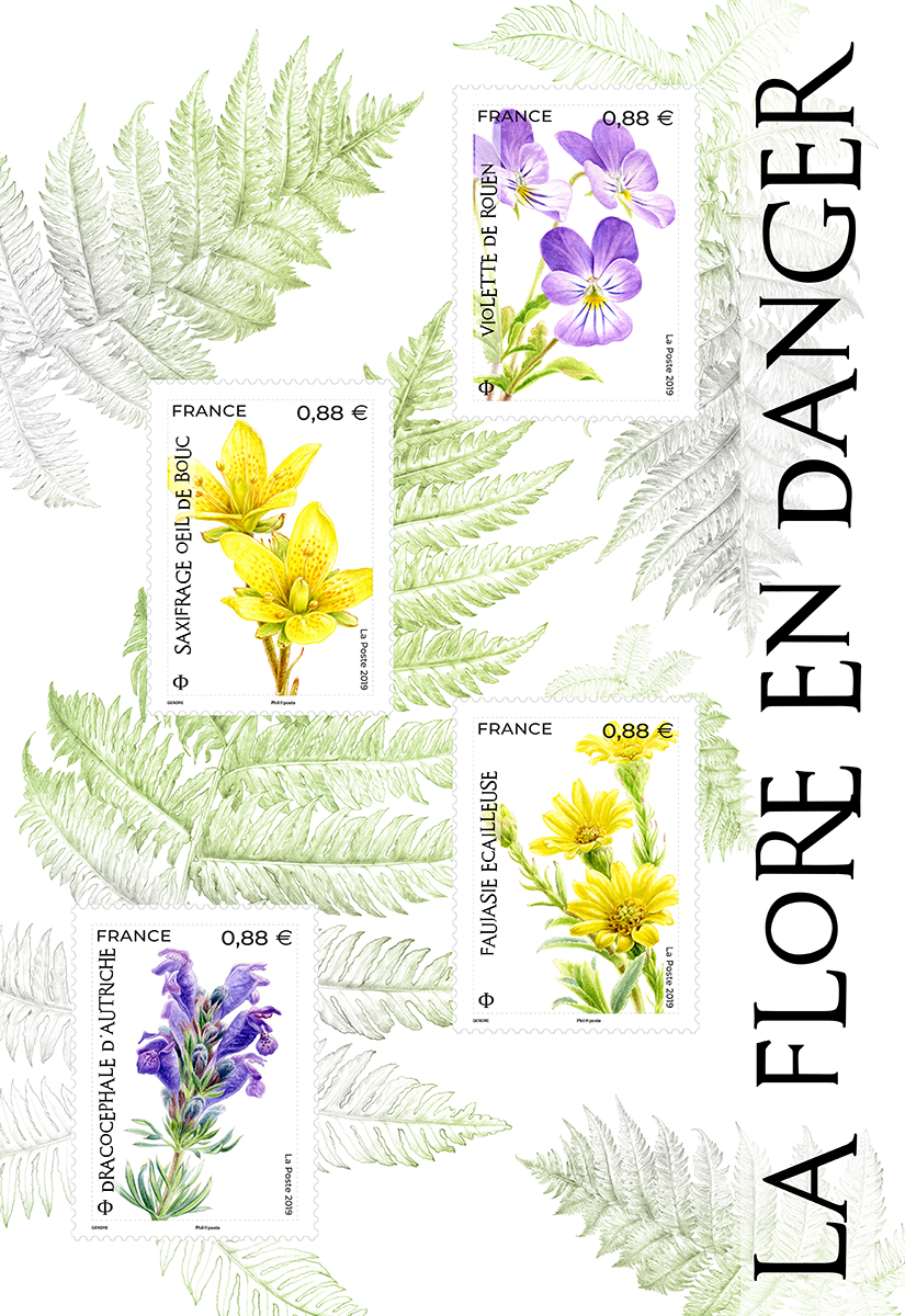 La flore en danger, bloc de 4 timbres, 2019 (création et mise en page de Florence Gendre, impression héliogravure) (d'après photo Dracocephale d'Autriche et Faujasie écailleuse, © Jérémie Van Es/CBN Alpin (violette de Rouen) © Christophe Blondel / CBN de Bailleul - Saxifrange œil de Bouc ©Julien Guyonneau: CBN de Franche-Comté) © La Poste/F. Gendre