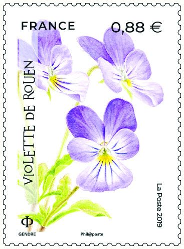 Violette de Rouen, 2019 (création et mise en page de Florence Gendre, impression héliogravure) (d'après photo © Jérémie Van Es / CBN Alpin) © La Poste/F. Gendre