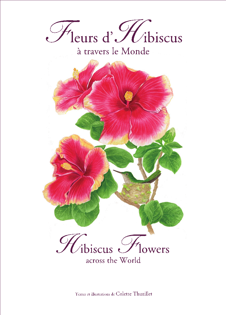 Colette Thurillet édite un ouvrage « Fleurs d&rsquo;Hibiscus à travers le monde »