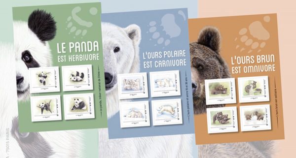 Collectors panda, ours blanc, ours brun