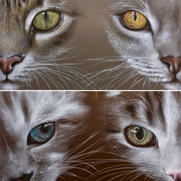 Yeux de chats, acrylique sur toile de lin