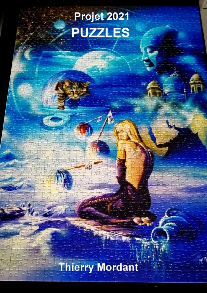 Les peintures de Thierry Mordant deviennent des puzzles