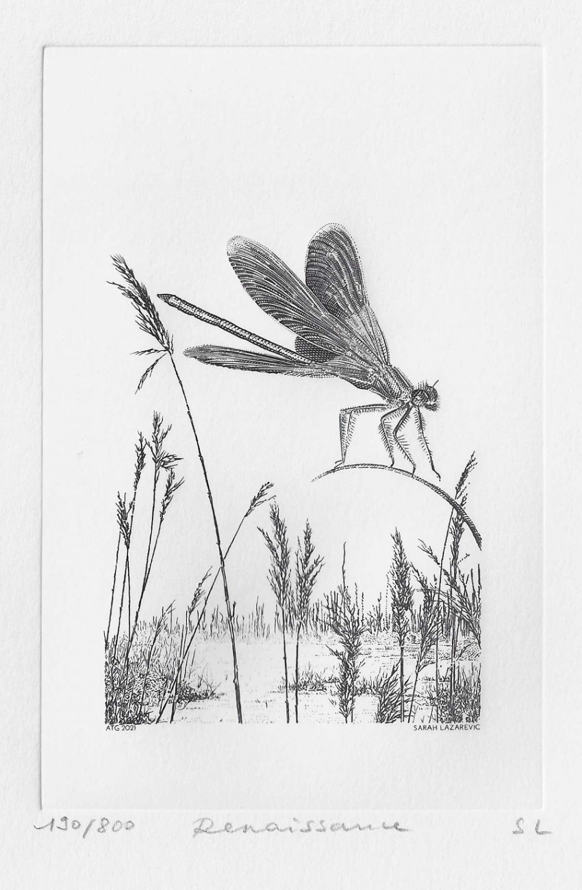« Renaissance », la gravure annuelle ATG 2021 de Sarah Lazarevic est imprimée