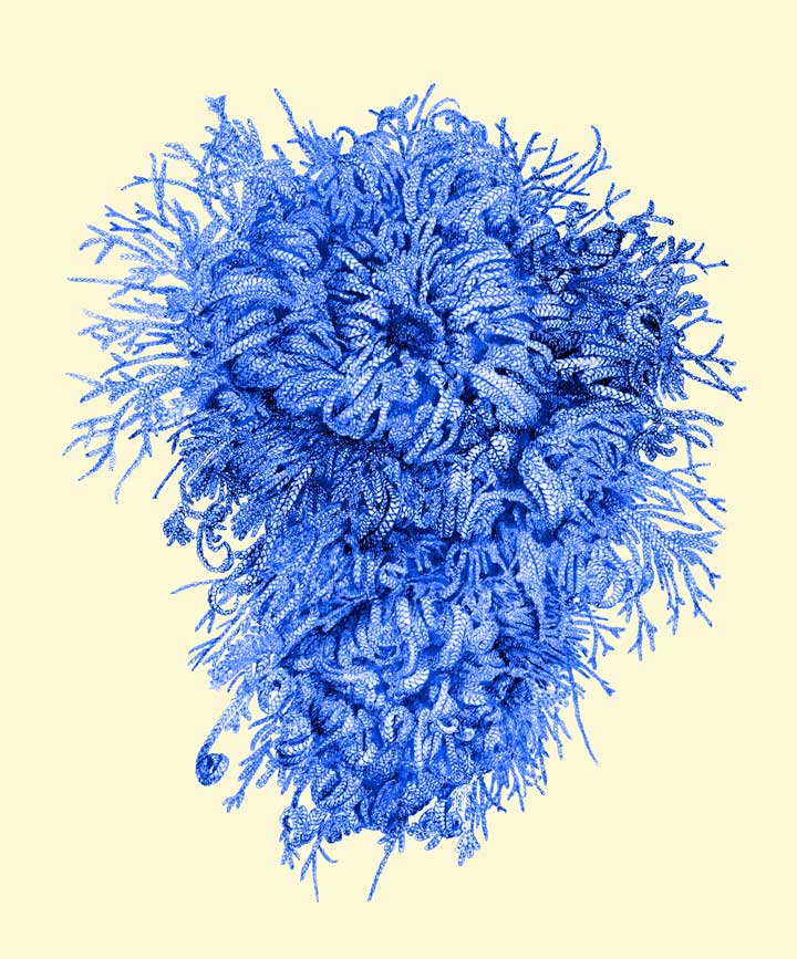 Les cartes de voeux des artistes de l’ATG