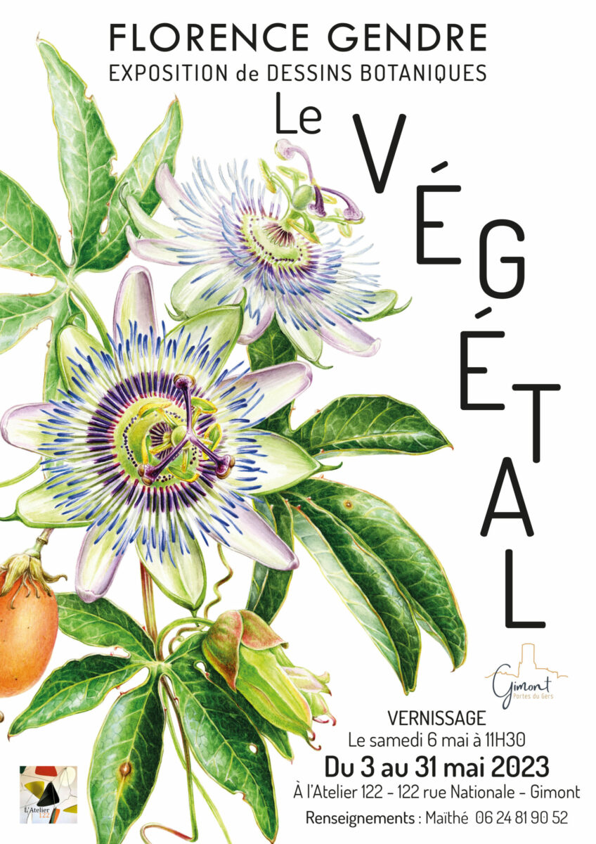 Florence Gendre expose ses dessins botaniques « Le végétal » dans le Gers