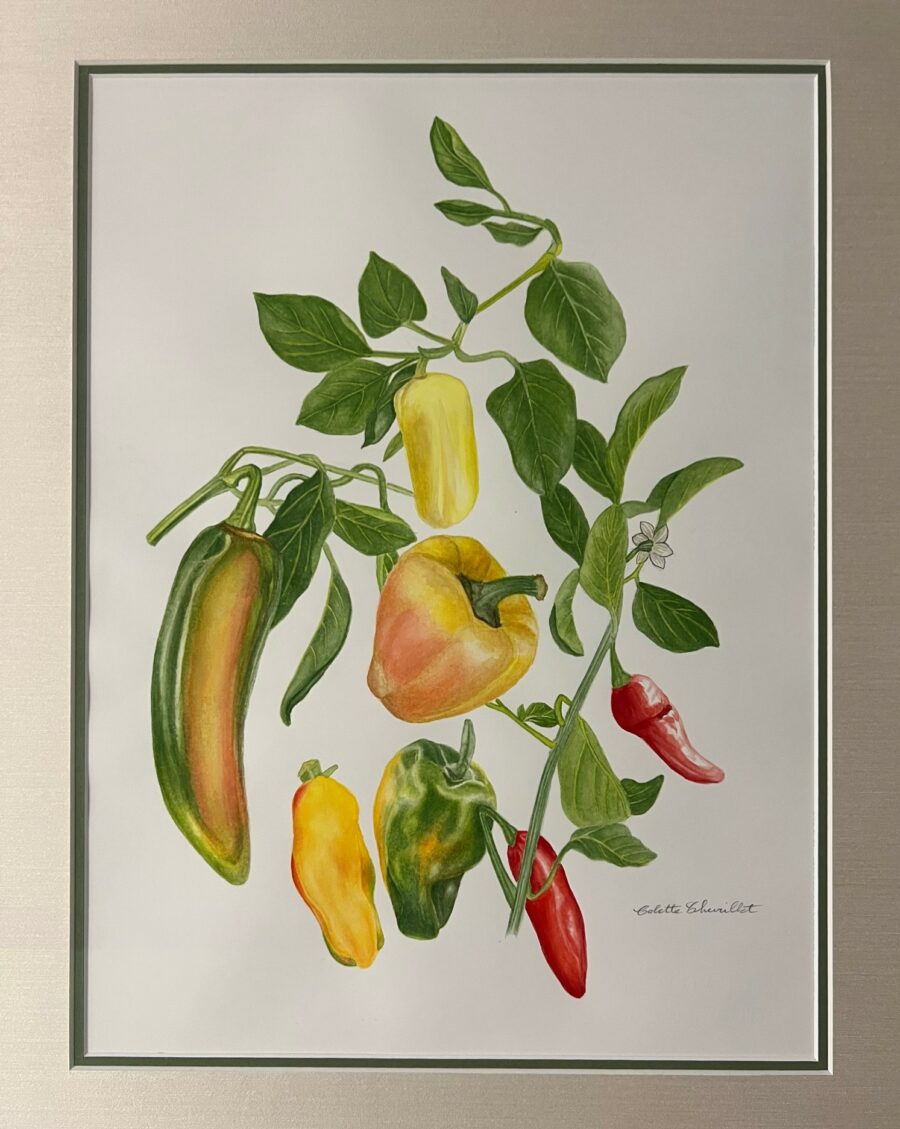 « Portraits de légumes dans l&rsquo;art et la gastronomie » de Colette Thurillet