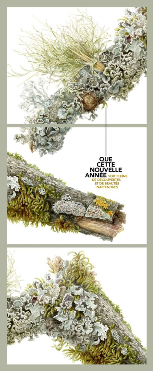 Florence Gendre, carte de voeux 2025, numérique (© F. Gendre)