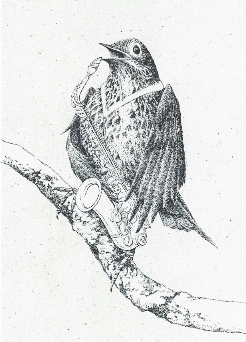Alexandre Palezis, carte de voeux imprimée, la grive musicienne, encre (© A. Palezis)