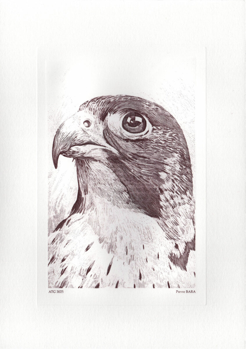 Pierre Bara réalise la gravure ATG 2025