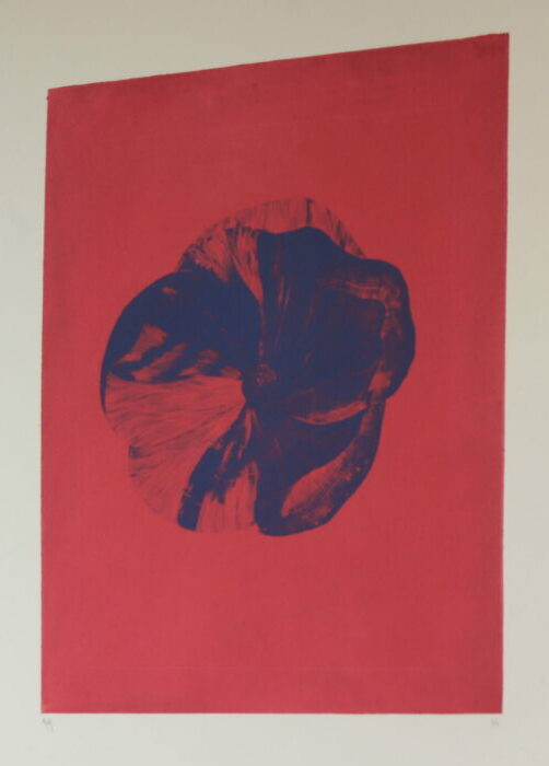 François Feydy, fleur, estampe (© F. Feydy)