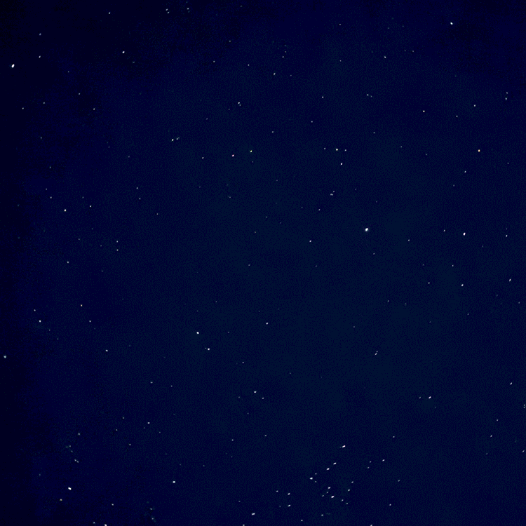 Florence Gendre, carte de voeux animée, 2026 (© F. Gendre)