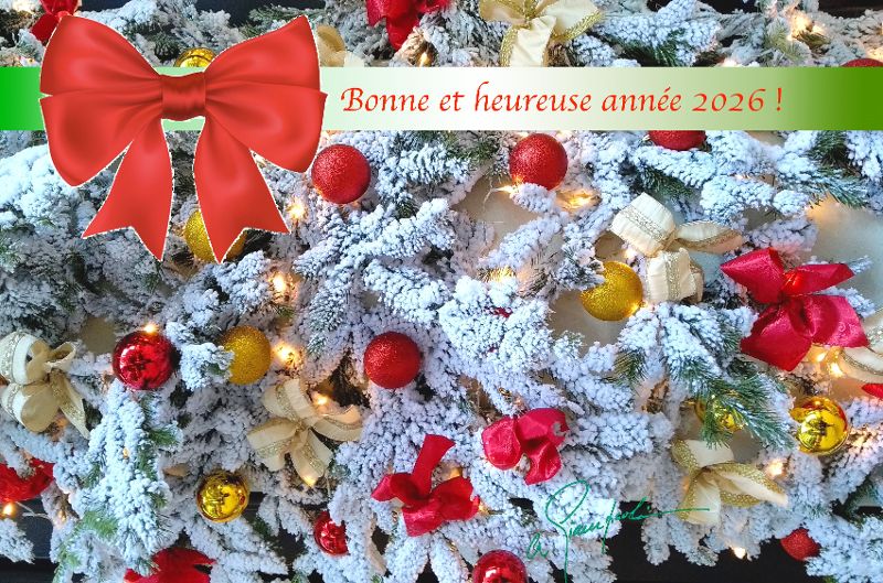 Alain Giampaoli, carte de voeux 2026 (© A. Giampaoli)