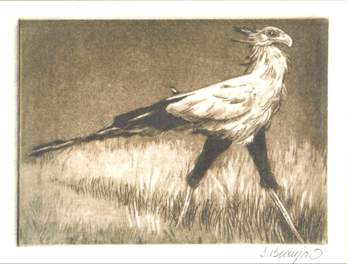 Sophie Beaujard, carte de voeux imprimée 2026 (© S. Beaujard)